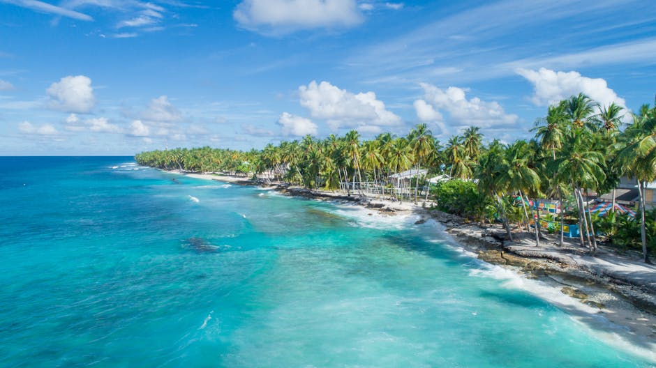 Lush palm-lined coastline of Maldives with turquoise waters